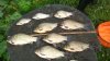 IMG-20180821-WA0012.jpeg