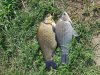 20180825_115517.jpg