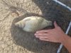 20180825_103639.jpg