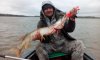IMG-20180909-WA0003.jpg