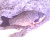 131012-125113.jpg