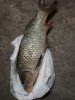 IMG-20181203-WA0008.jpg