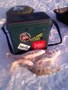 IMG-20181203-WA0011.jpg