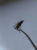 IMG_20181017_143937.jpg