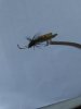 IMG_20181017_144047.jpg
