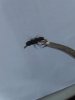 IMG_20181017_144102.jpg