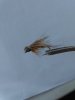 IMG_20181017_144131.jpg