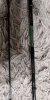 IMG-20190103-WA0041.jpeg IMG-20190103-WA0041.jpeg