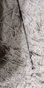 IMG-20190103-WA0055.jpeg IMG-20190103-WA0055.jpeg