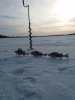 20190210_121531.jpg