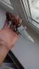 IMG-20190119-WA0001.jpeg