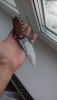 IMG-20190119-WA0003.jpeg