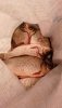 IMG-20190317-WA0000.jpeg
