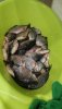 IMG-20190403-WA0033.jpeg