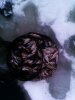 IMAG0410.jpg
