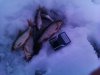 IMAG0418.jpg