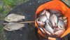 IMG-20190514-WA0024.jpeg