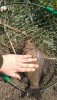 IMG-20190514-WA0011.jpeg