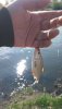 IMG-20190514-WA0009.jpeg