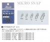 bassday_micro_snap.jpg