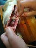 IMG-20190629-WA0000.jpg
