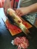 IMG-20190629-WA0001.jpg