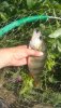 IMG-20190728-WA0008.jpeg