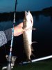 IMG_20190803_215812.jpg