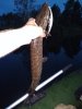 IMG_20190803_220139.jpg