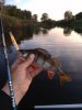IMG_20190803_210645.jpg