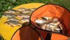 IMG-20190804-WA0007.jpeg
