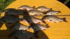 IMG-20190804-WA0005.jpeg