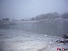 335_P1010961_1.jpg