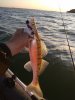 IMG_20191010_180417.jpg