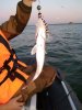 IMG_20191010_184752.jpg