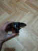 IMG_20191208_170142.jpg