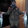 SergeichFish
