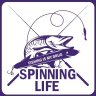 Spinning Life