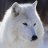 WhiteWolfNsK