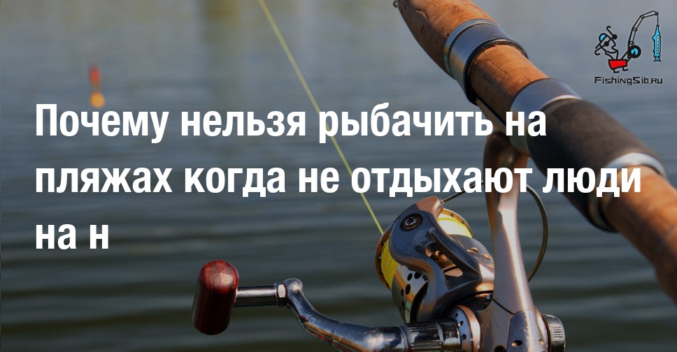 Где рыбачить на волге
