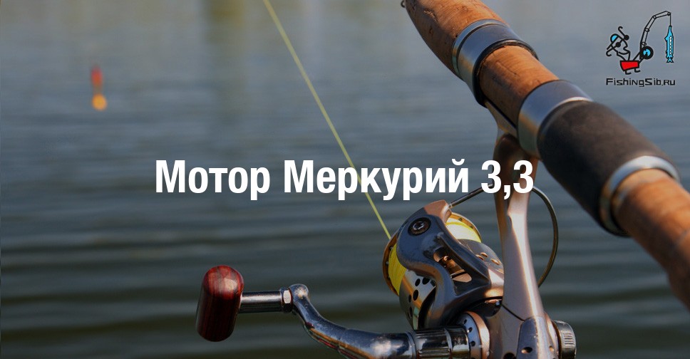 Мотор меркурий 80