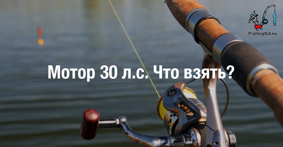 Л мотор лебедянь