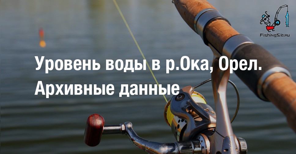 Ооо ока орел