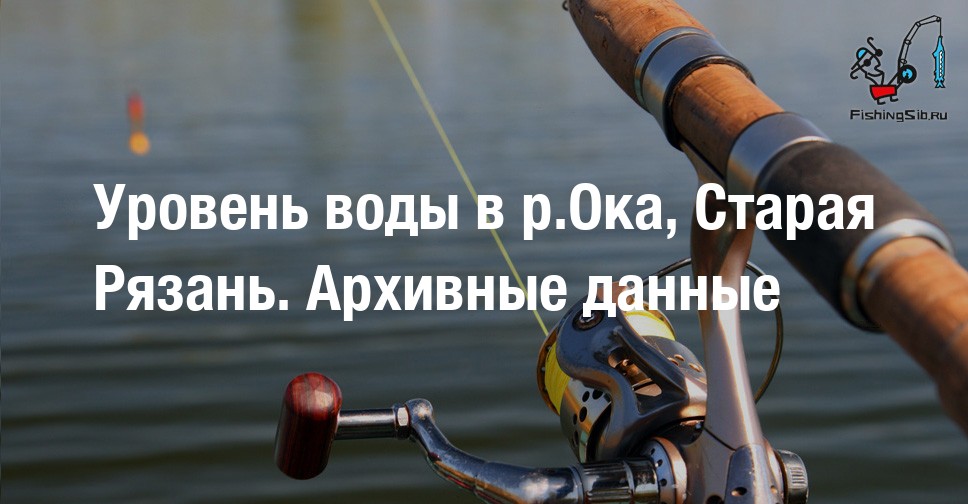 Паром ока рязань