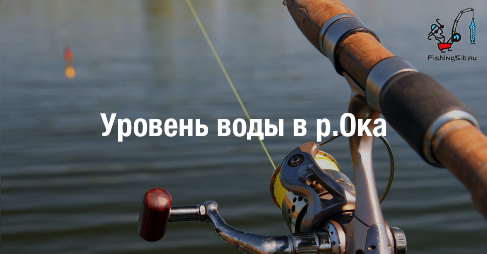 Река ока сегодня