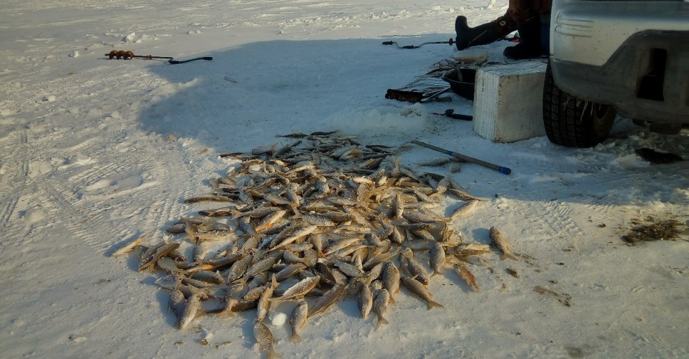Рыбалка на озерах форум. Озеро хорошее Карасукского района. Вести с водоемов. Рыбалка на карасукских Озерах зимой. Рыбалка на яме в хорошем Карасукского района.