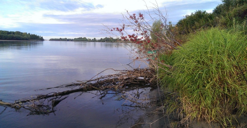 село нижний урюм здвинского района новосибирской области. вести с водоемов реки. зимняя рыбалка в новосибирске. ловля ротана зимой на пруду. озеро урюм здвинский район.