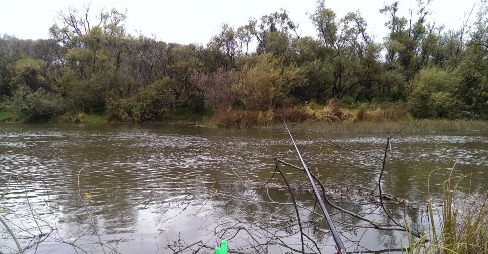 Река ельчик в ельце