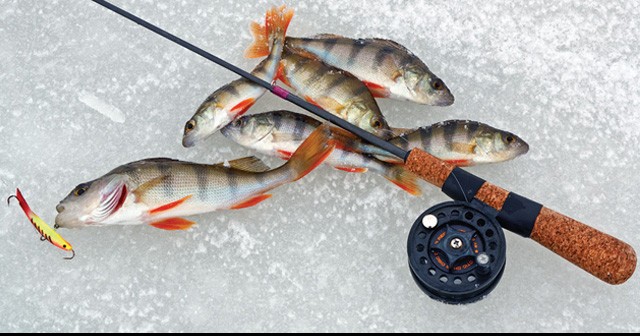 Самодельные снасти для зимней рыбалки