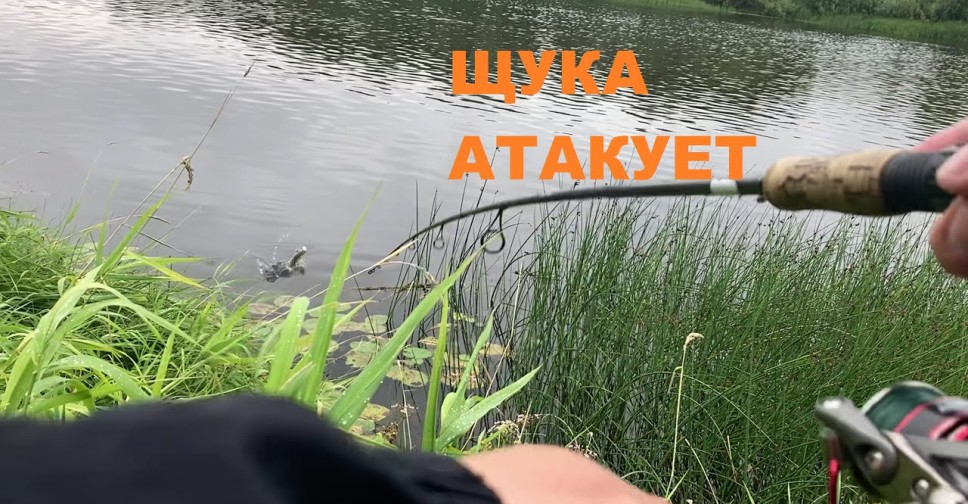 рыбалка в августе ловля карася видео